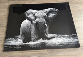 Wandbild Elefant Gallery Print