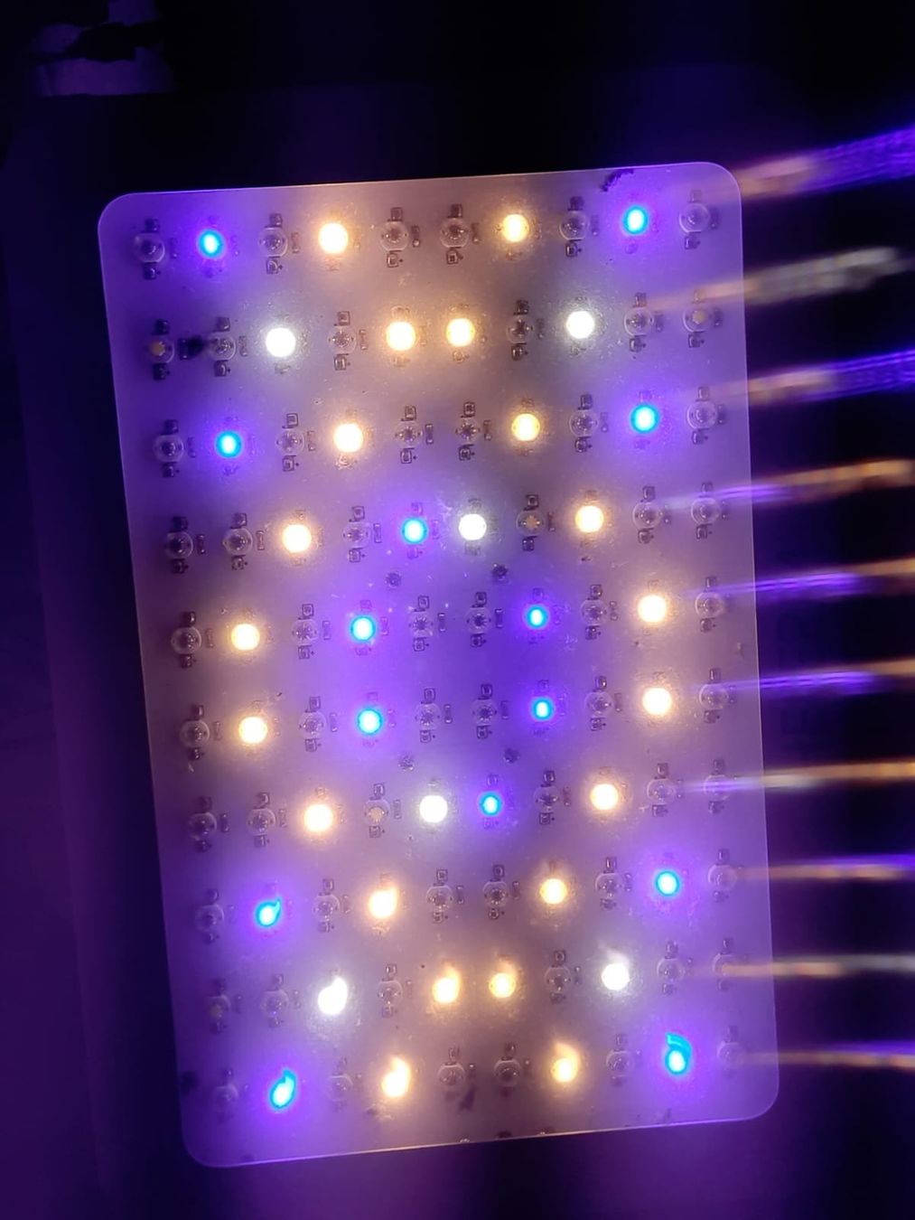 Lampen: 1000 Watt LED Growlampe – Gebraucht aus Adliswil von lul_5h6f 6