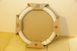 OSRAM L 32 W / 640 C - cool white