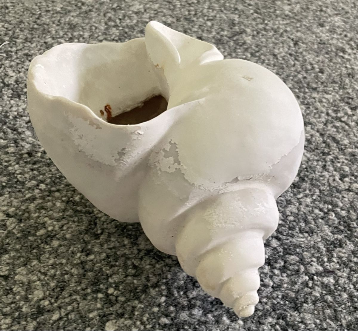 Tutte le decorazioni: Garten Schnecke weiss Dekoobjekt gross DekoSchale – Usato da Au ZH venduto da Jaggy4 2