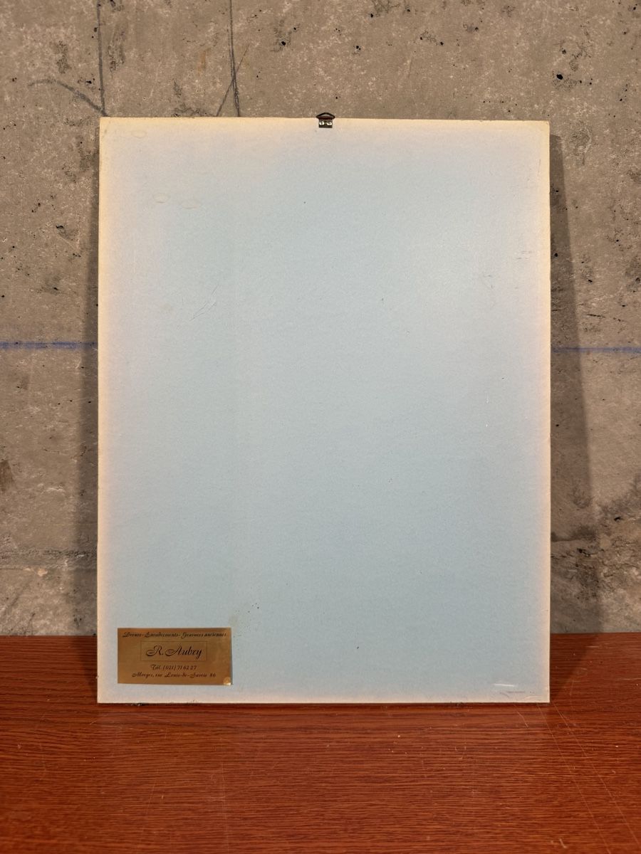 Grafica & Litografie: LITHOGRAPHIC LEAVES, butterfly motif, framed – Usato da Lausanne venduto da vas_mbk2 7