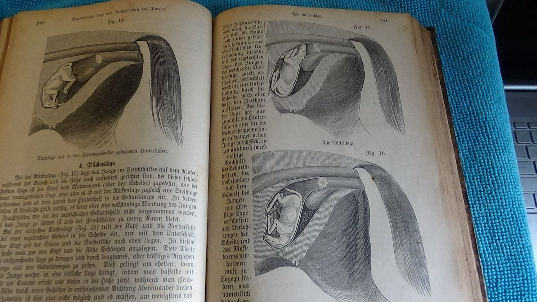 Bücher: Antikes Buch der Haustierarzt 1887 – Gebraucht aus Wiedlisbach von Bobesch10 3