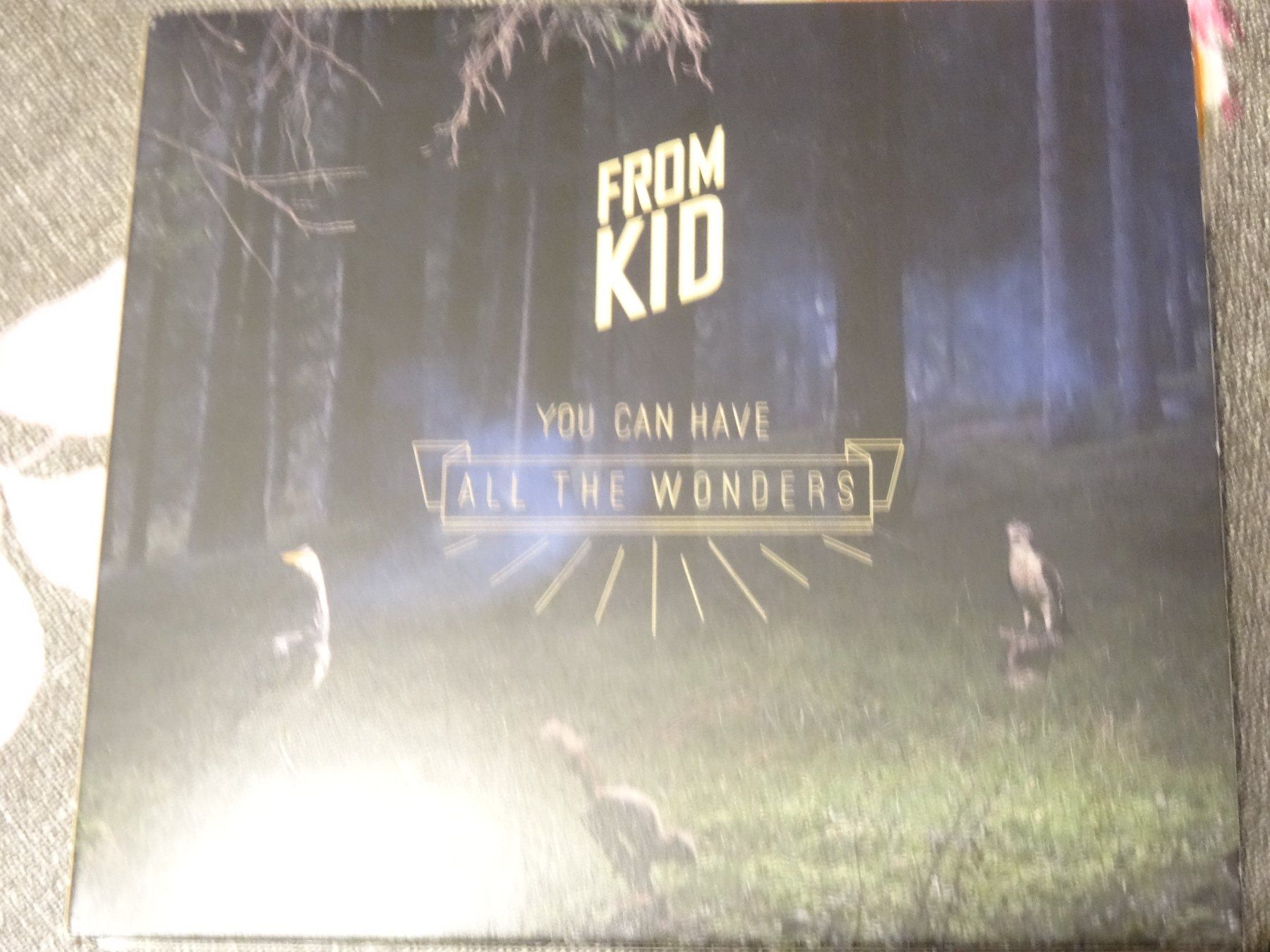 CD: From Kid - You can have all the Wonder CD – Usato da Olten venduto da Disc-Ausverkauf