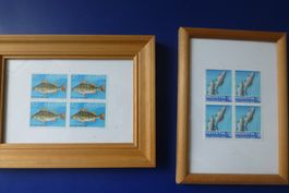 Fisch Briefmarken Helvetia gerahmt, 2er Set, Top Zustand!