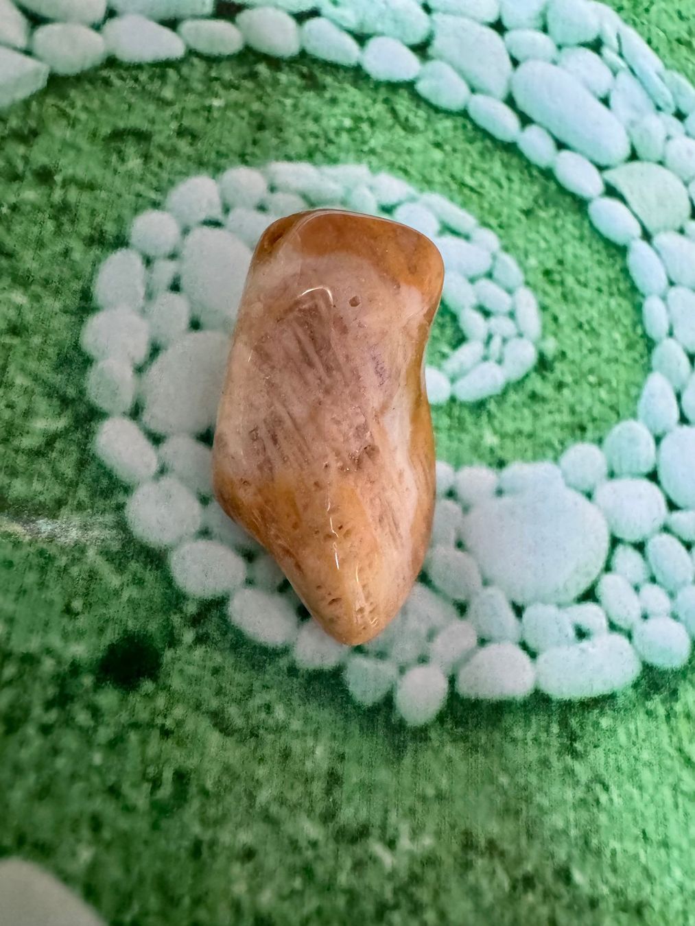 Mineralien & Heilsteine: Versteinertes-Holz – Neu (gemäss Beschreibung) aus Biberist von Steine 1