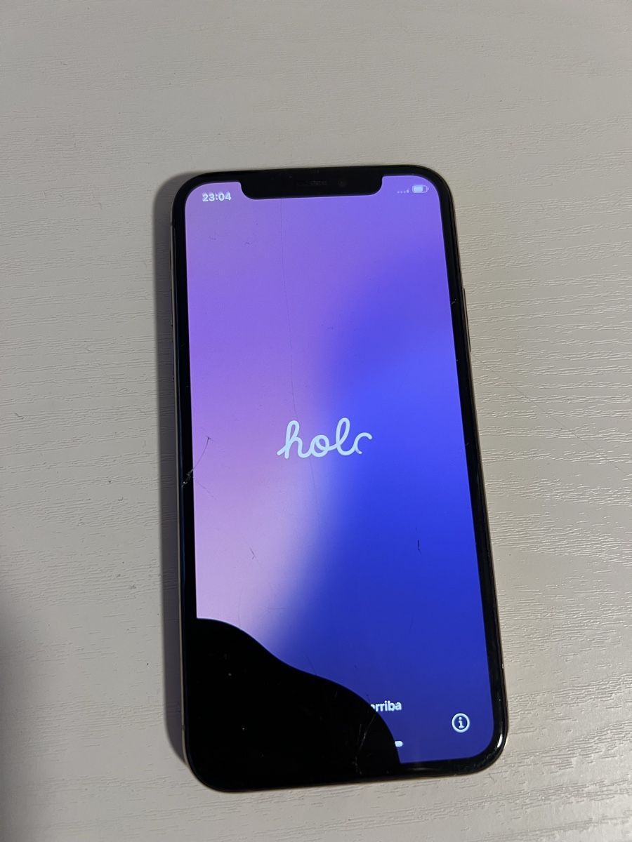Apple Telefoni cellulari / Smartphones: iPhone XS 64gb – Difettoso da Adliswil venduto da Pacifoll 1