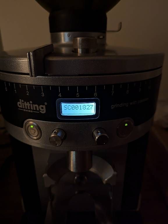 Elettrodomestici da cucina: Kaffeemühle Ditting KE640 VARIO – Usato da Uitikon Waldegg venduto da moaloha21 4