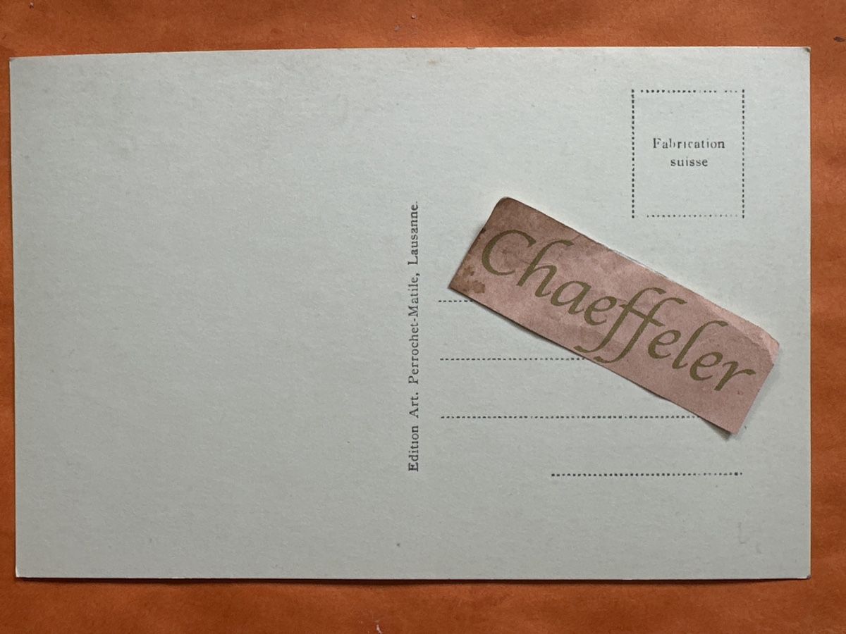 Cartoline postali: Vevey Vue générale DTS. De Morcles et Dts. du Midi. – Usato da Zürich venduto da Chaeffeler 1