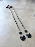 NA0093 Black Diamond Alpine FLZ Wanderstöcke 105-125cm