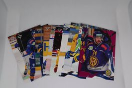11 HC Davos 2025/26 Serie 1 & 2 Karten