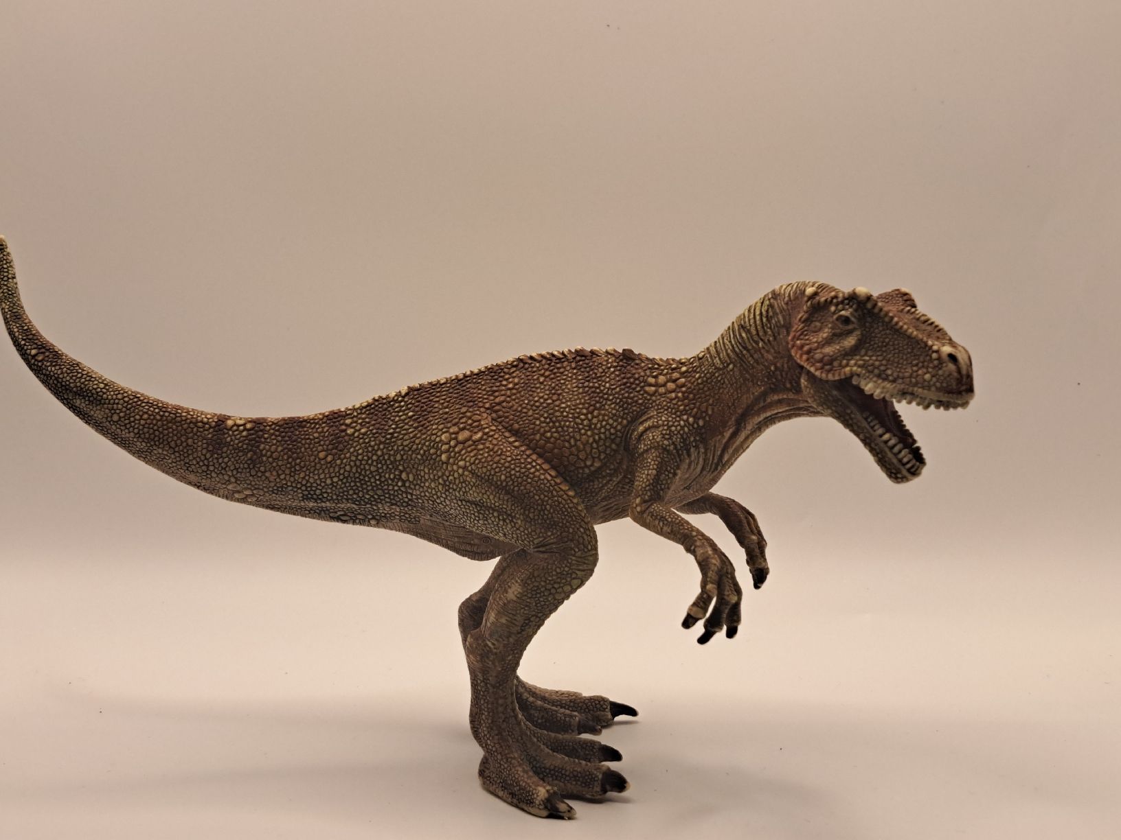 Schleich Giocattoli: Schleich Dinosaurier Allosaurus – Usato da Basel venduto da car_85fz