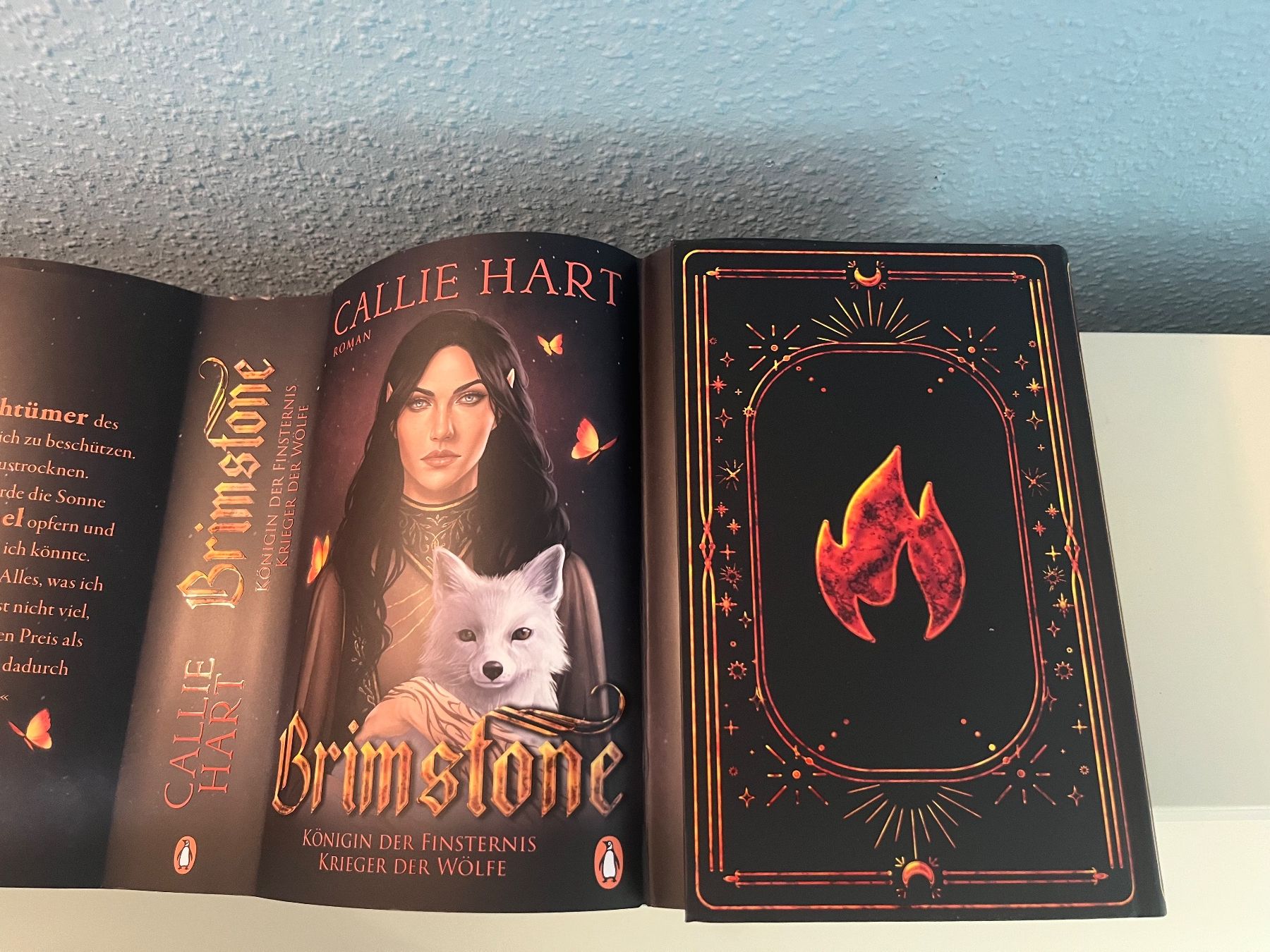 Libri: Brimstone, Callie Hart, deutsches Buch – Nuovo (secondo la descrizione) da Zürich venduto da bib_trj7 8