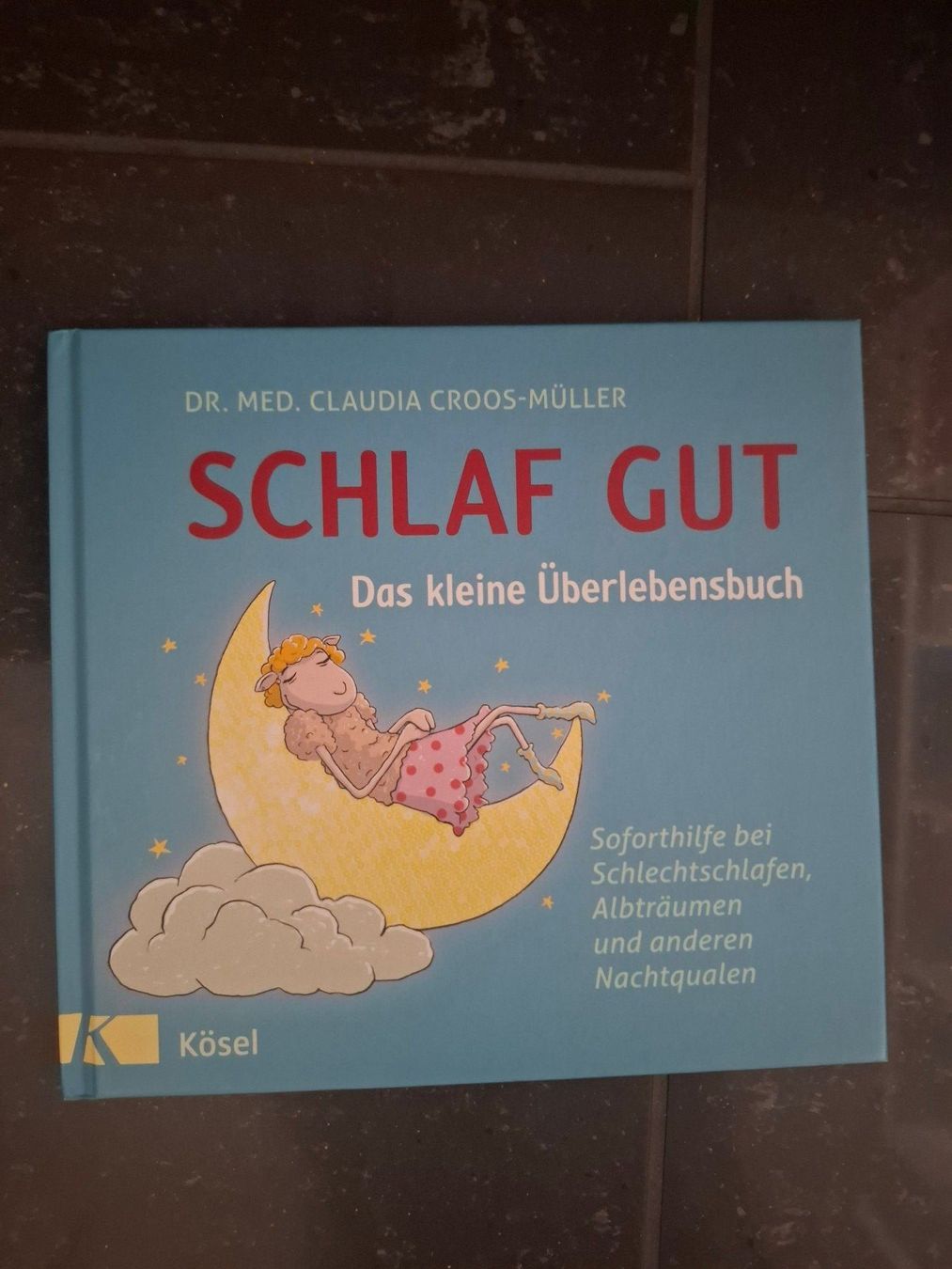 Libri: Buch "Schlaf gut" – Nuovo (secondo la descrizione) da Uezwil venduto da VogelK