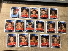 Panini Champions League 2010-11 16x Stickers BRAGA Portugal