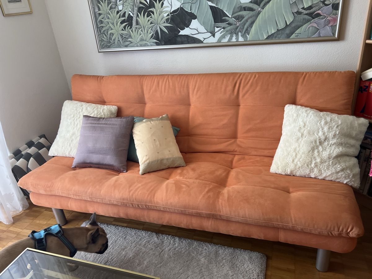 Sofas: Bettsofa – Gebraucht aus Embrach von rig_56bw