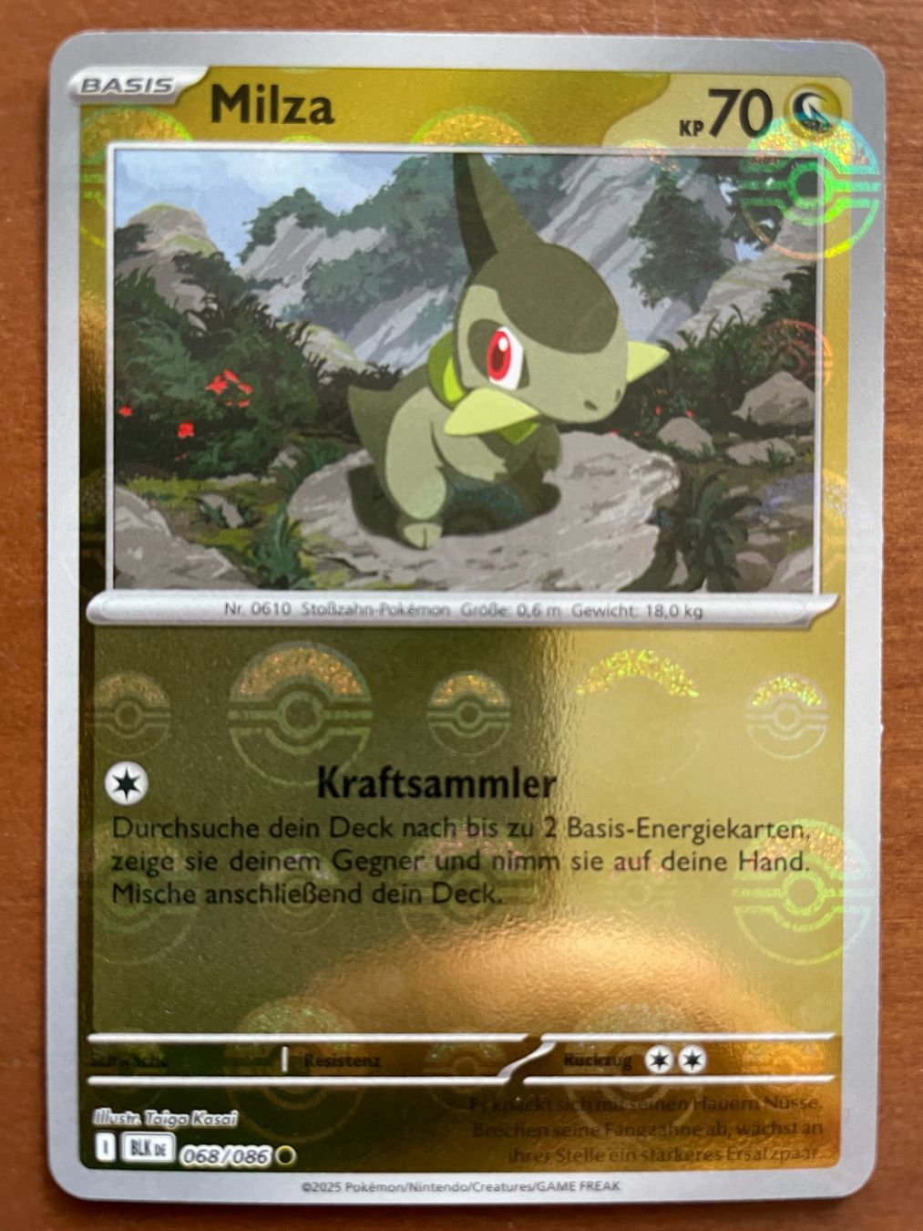 Pokémon Carte collezionabili: Pokemon Milza Pokeball (Versand gratis) – Nuovo (secondo la descrizione) da Chur venduto da Angerson