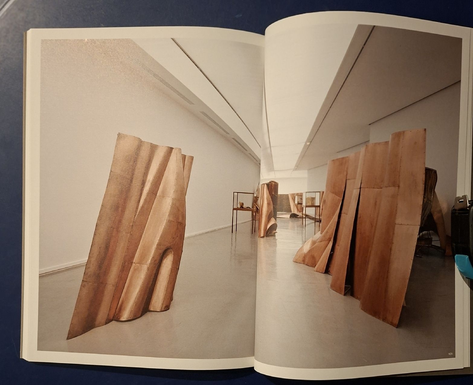Libri: Danh Vo Gomomnimada Buch neu Zustand – Nuovo (secondo la descrizione) da Niederglatt ZH venduto da Siegfried67 9