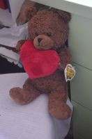 PELUCHE - DEKO - BARE - NEU - CM 29