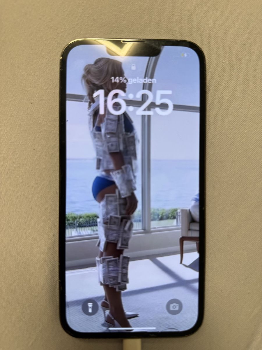 Apple Telefoni cellulari / Smartphones: Iphone 13 Pro 256GB – Usato da Schafisheim venduto da kev_q7x9