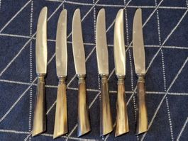 6 Messer mit Horngriff