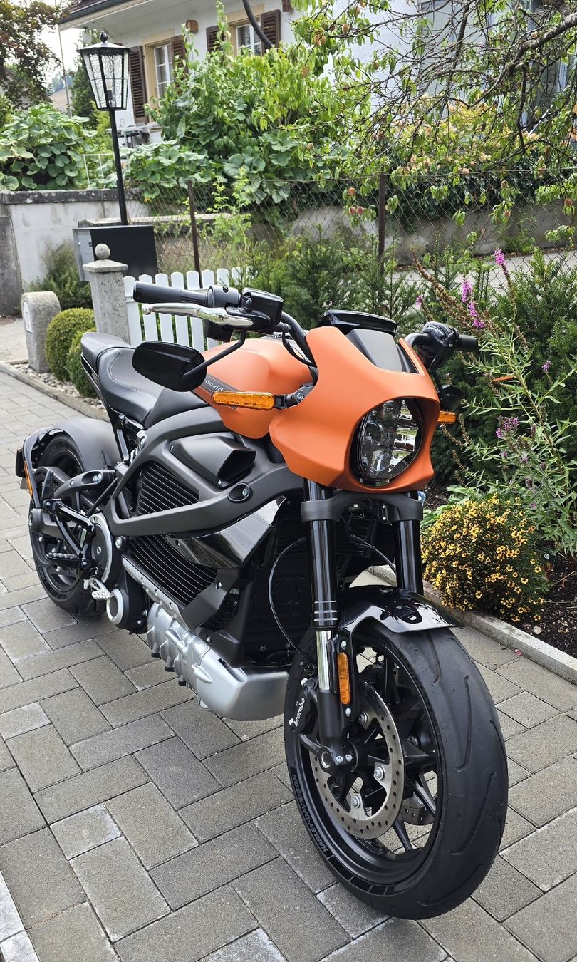 Harley-Davidson Route: Harley-Davidson LifeWire – D'occasion à Bern par freebird_customs 4