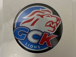 Eis hockey puck