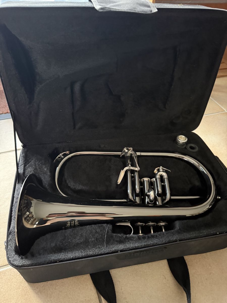 Thomann Strumenti musicali: Flügelhorn von Thomann – Usato da Uetendorf venduto da Heavy-Sax 1