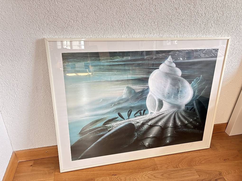 Foto & Immagini: Bild mit Rahmen  80 × 60 cm  signiert – Usato da St. Gallen venduto da Sirii9000