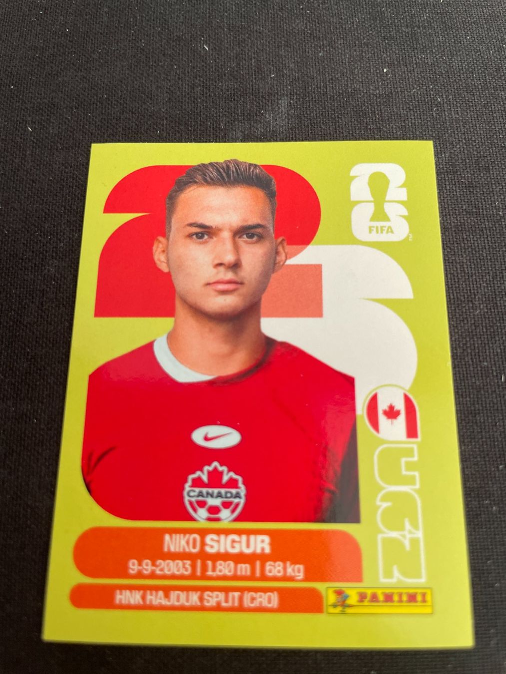 Panini Carte collezionabili: FIFA WM 2026 Sticker CAN 16 – Usato da Fahrwangen venduto da Venez