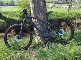 Zwei Scott MTB 