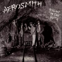 Aerosmith: Night in the ruts    CD