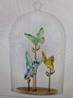 Swarovski Figur Schmetterling mit Glasglocke neu und OVP 