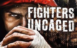 Fighters Uncaged Kinect  XB 360