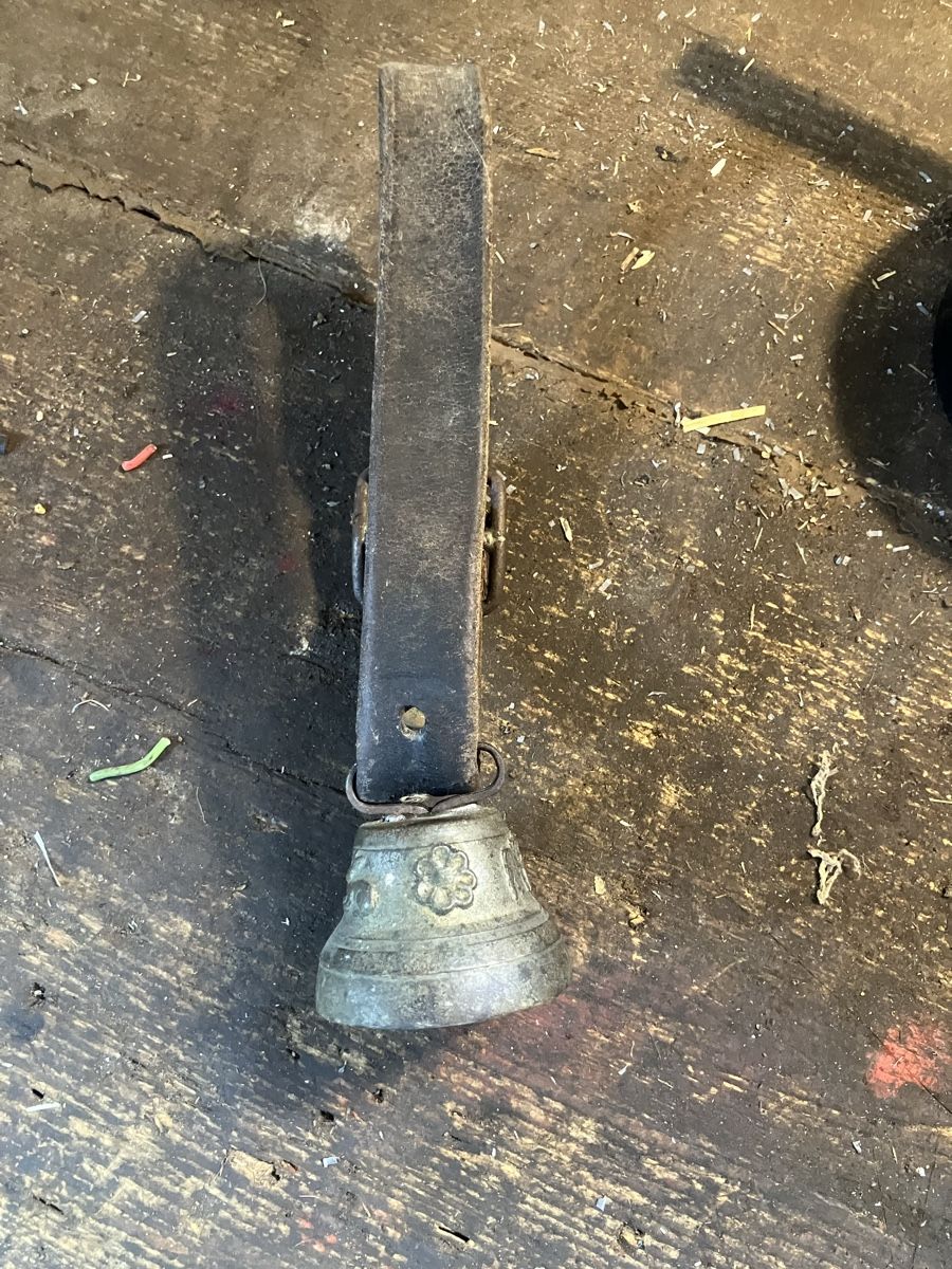 Cloches & sonnailles: Glocke  – D'occasion à Neudorf par Zlateh 2