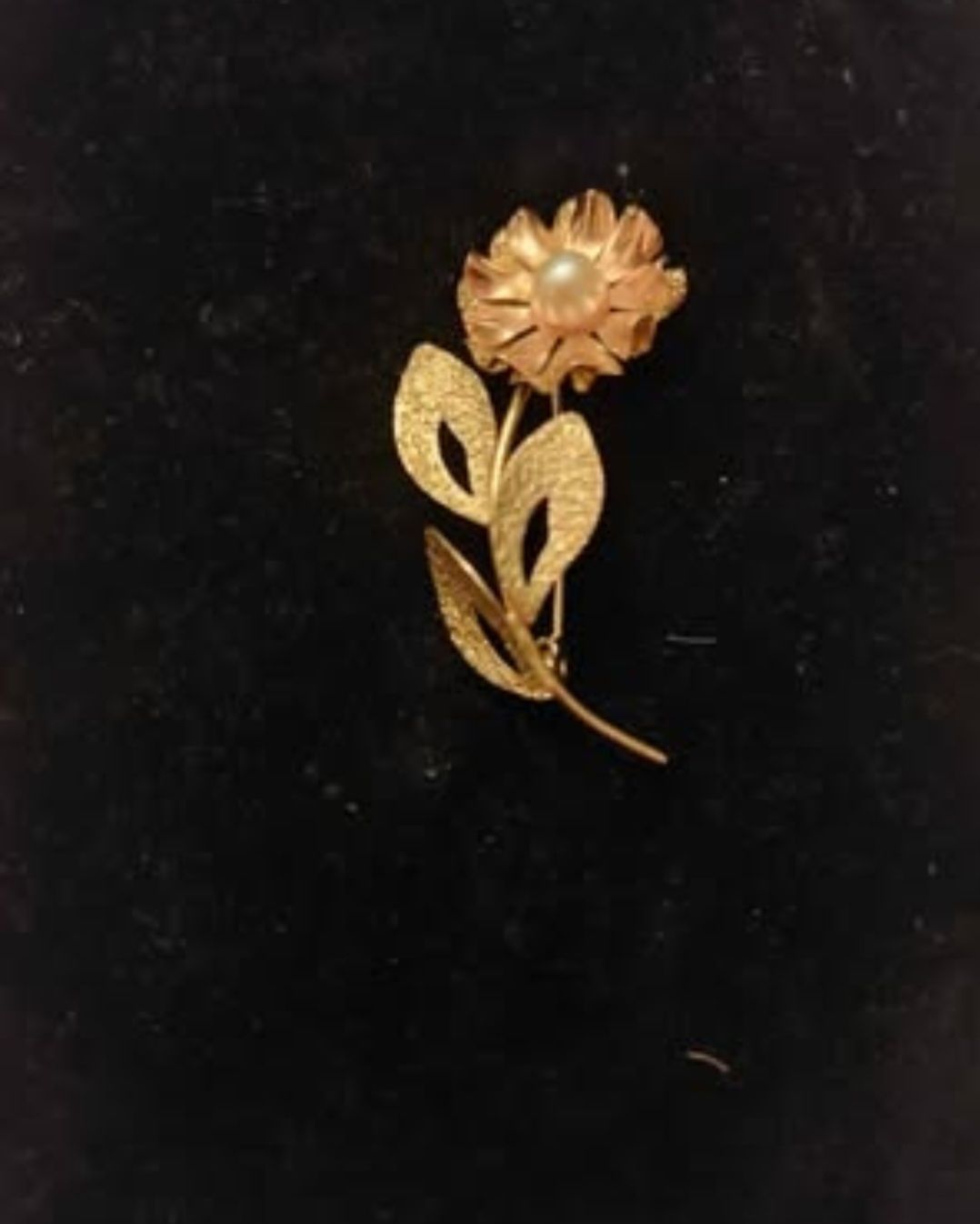 Spille & Fermagli: Broche 0r 9carats avec une perle – Nuovo (secondo la descrizione) da Vernier venduto da Sop_8yf7 3