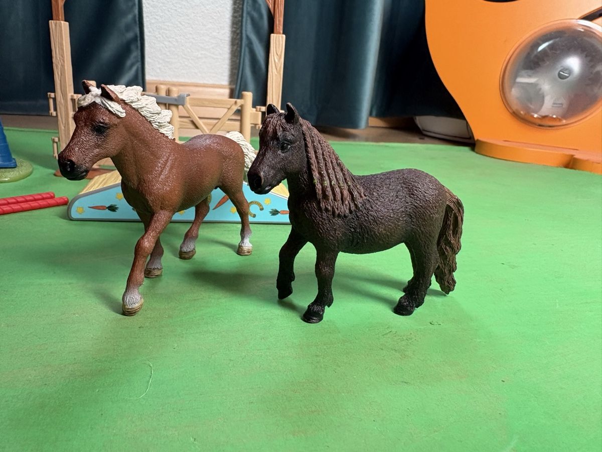 Schleich Giocattoli: Schleich Pony Agility Training – Usato da Deitingen venduto da Cortaderia79 1