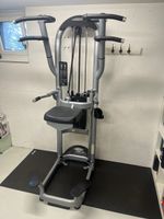 Matrix Kraftstation Dip Chin Assist guter Zustand