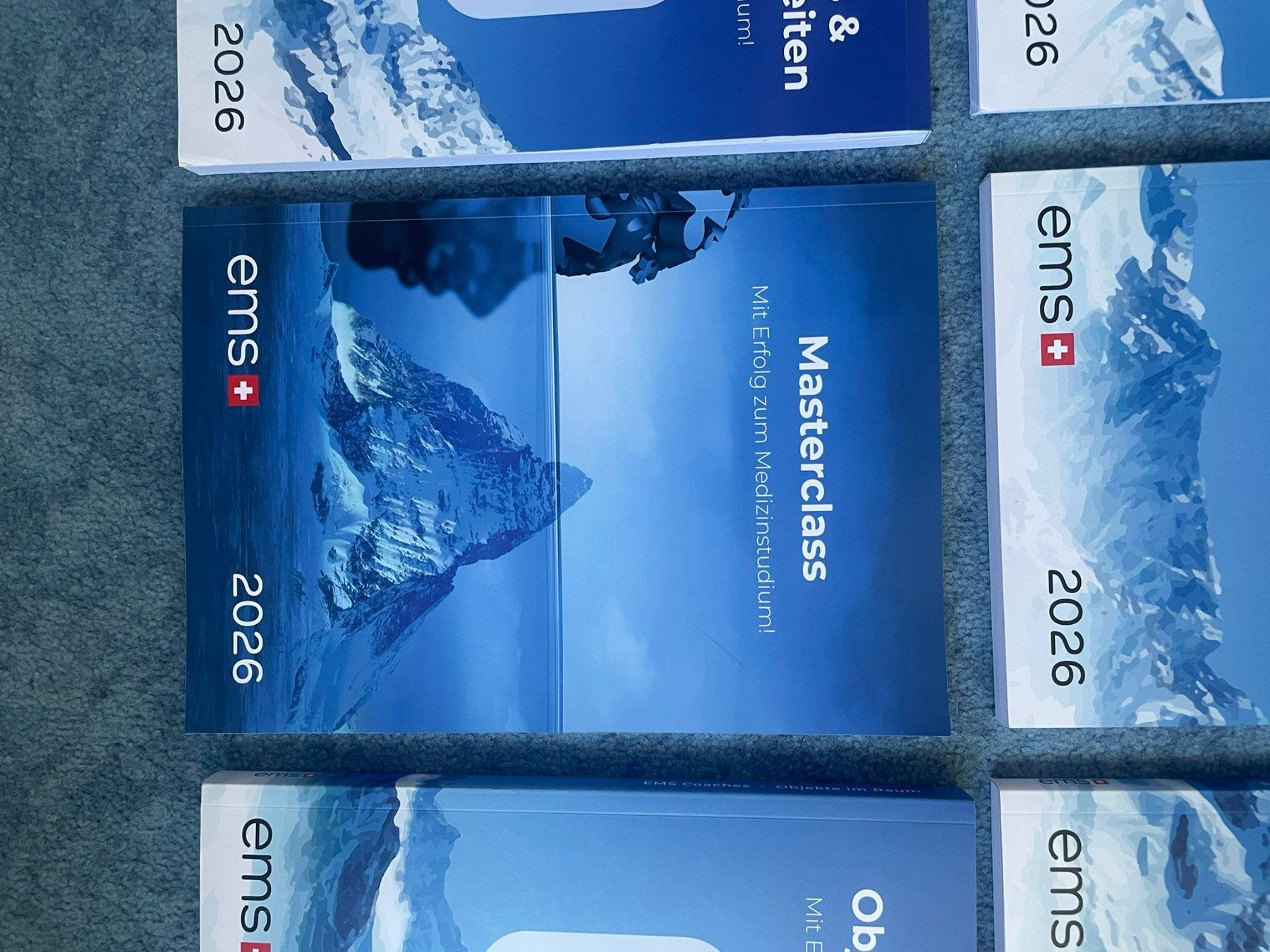 Libri: EMS 2026 Materialien – Usato da GOLDACH venduto da seller01 4