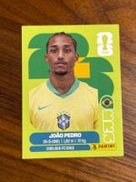 BRA 16 Panini WM26