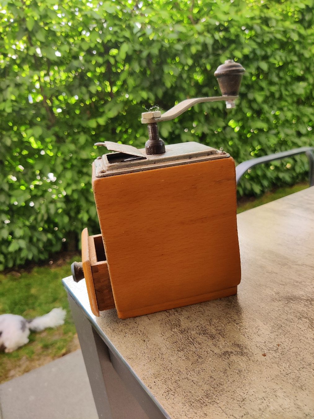 Tutte le decorazioni: Antike Kaffeemühle – Usato da Rüti ZH venduto da Eswa 1