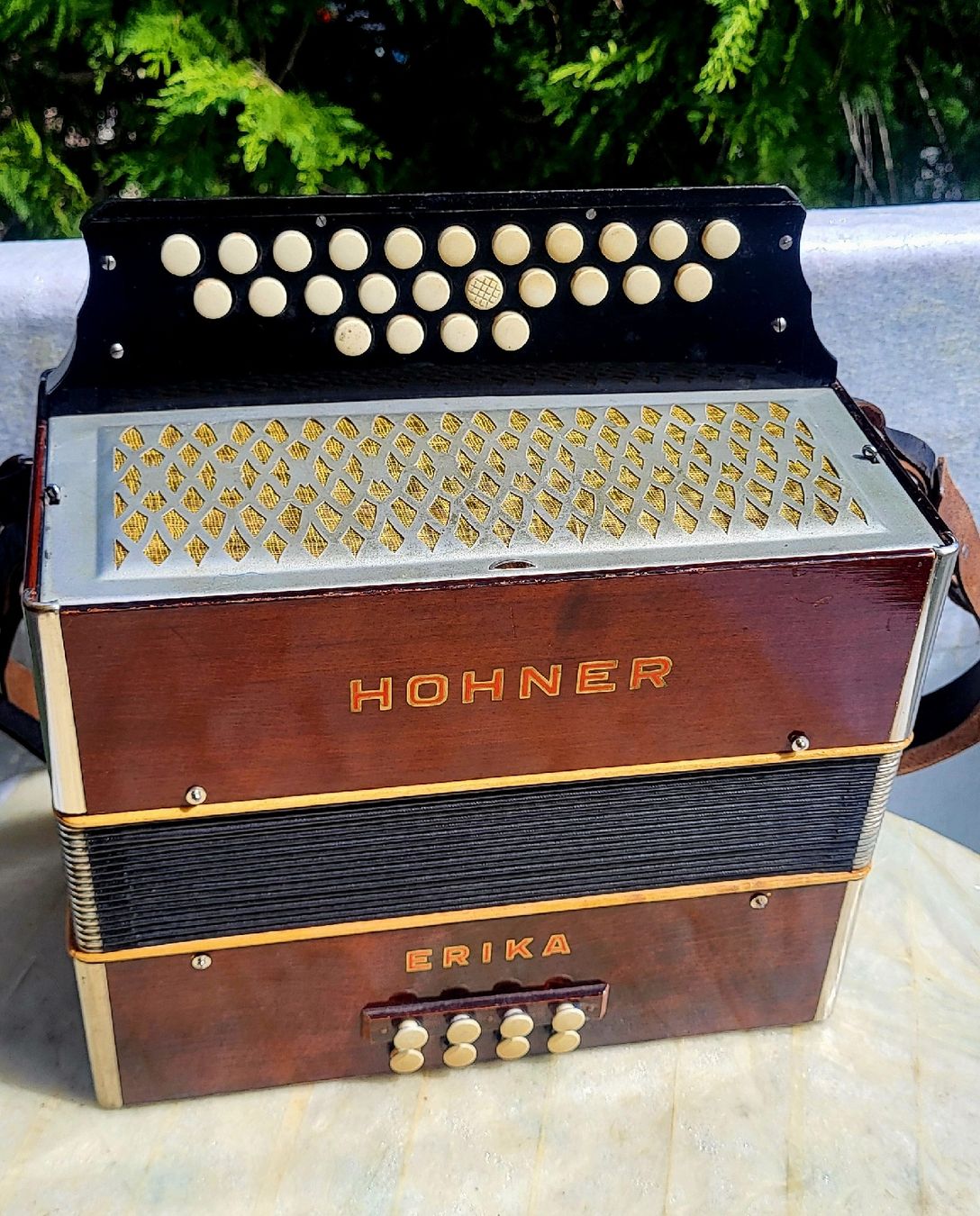 Musikinstrumente: Accordéon Hohner Erika – Gebraucht aus Penthalaz von EvandroLuz