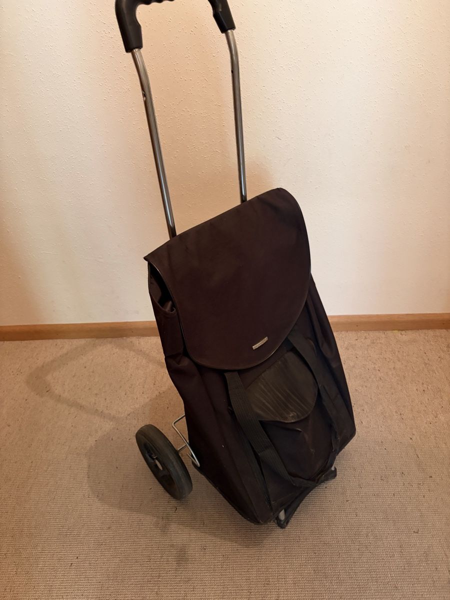Altro per la casa: Guter Einkaufstrolley – Usato da Basel venduto da funkysteff
