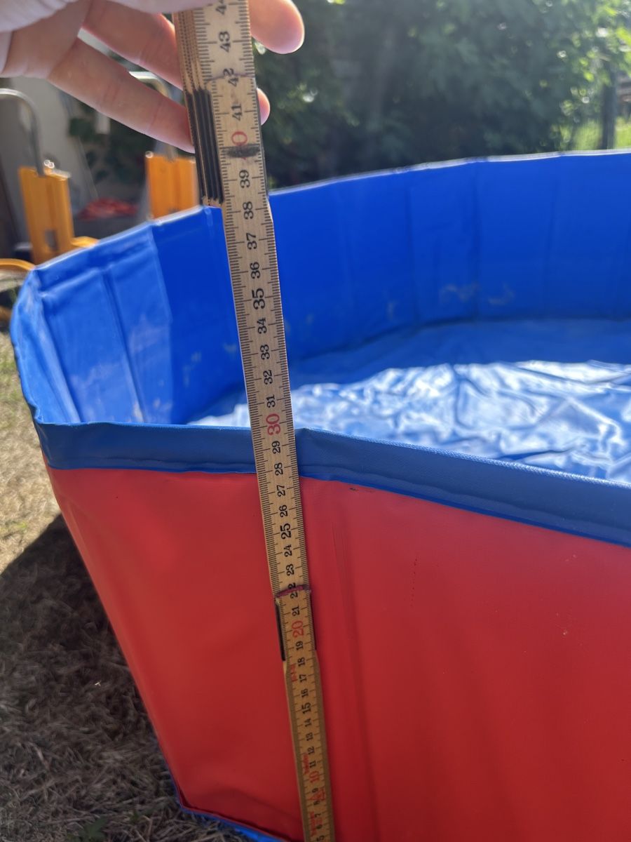 Schwimmbad: Hundepool – Gebraucht aus Boniswil von den_5bcy 1