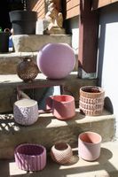 Dekoration in rosa diverses