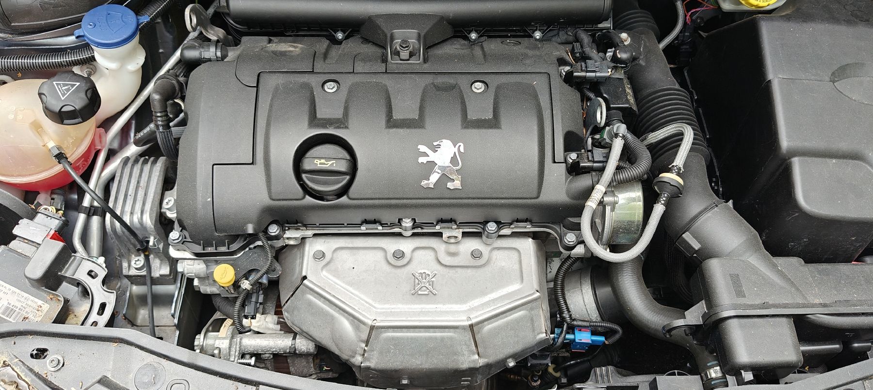 Peugeot Automobili: Peugeot 207 1.4l 16V 2008 – Usato da Petit-Lancy venduto da vena22 2