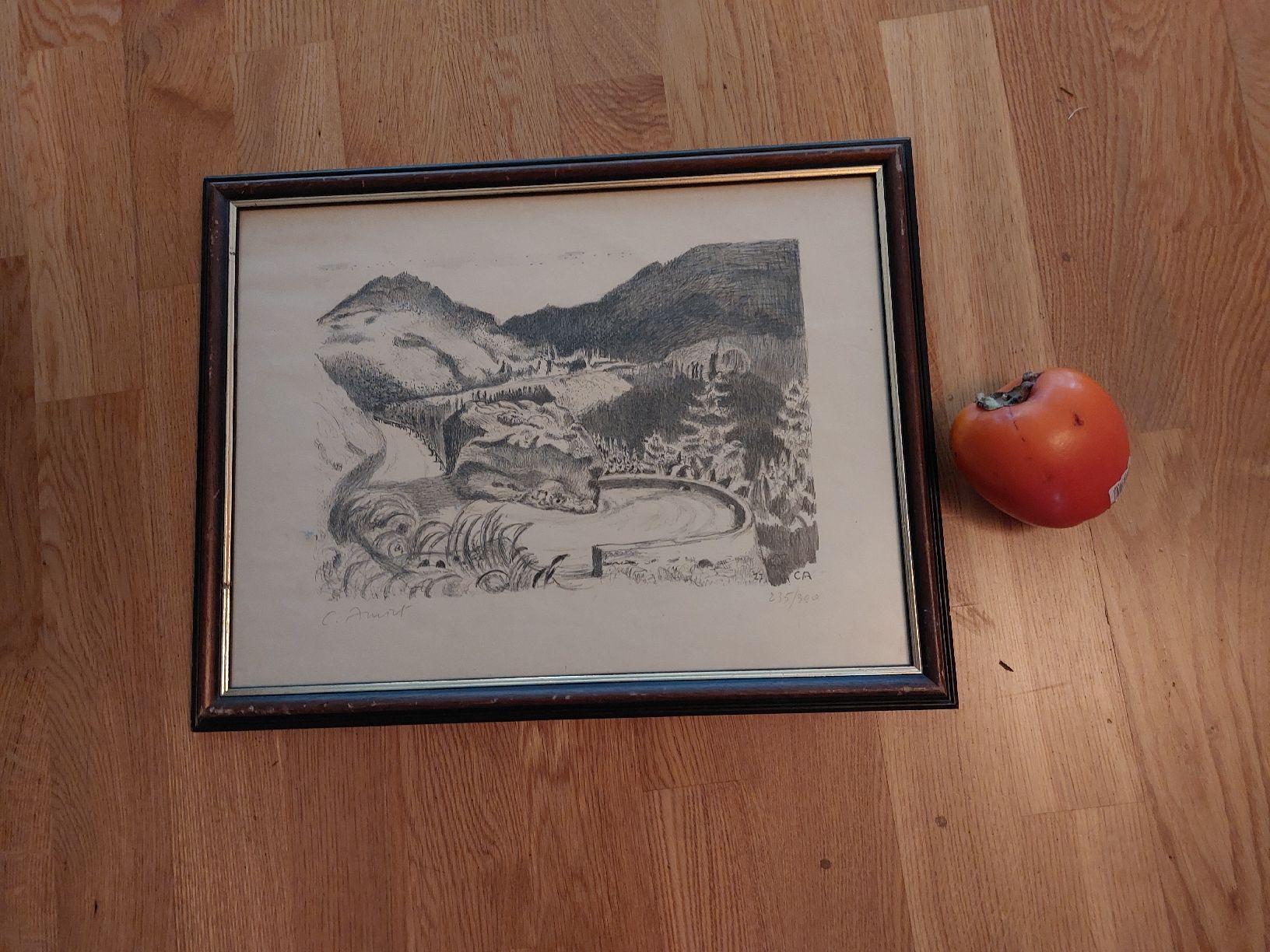 Grafica & Litografie: Cuno Amiet, Original Litho, Handsigniert – Usato da Zürich venduto da akl_n6fp