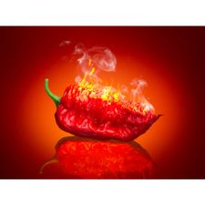 Profile image of California-Reaper