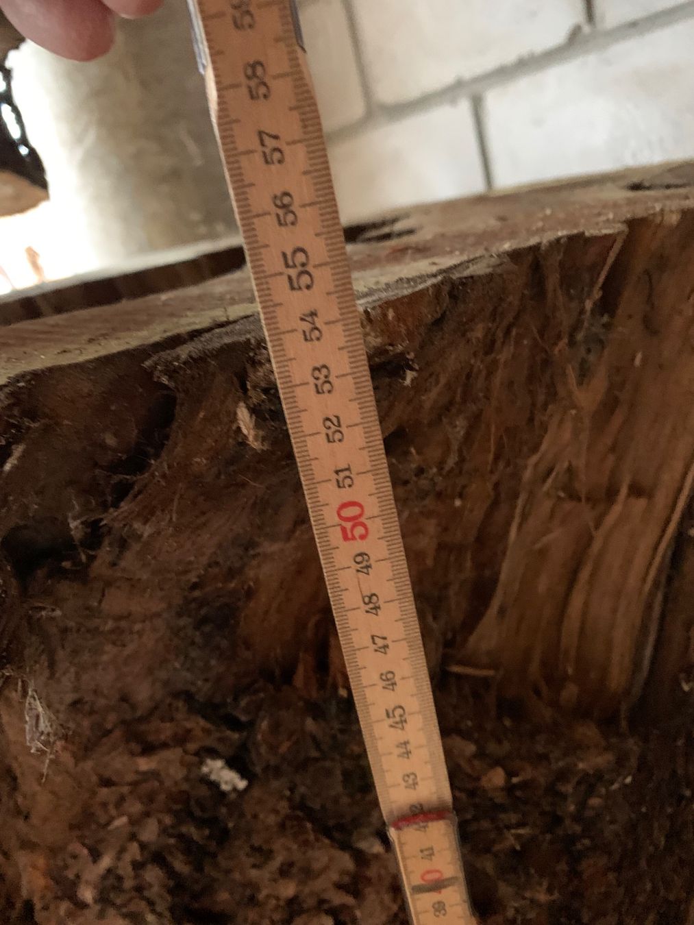 Articoli in legno: Kirschbaum Hohlstamm – Nuovo (secondo la descrizione) da Holziken venduto da Timbergrizzly 2