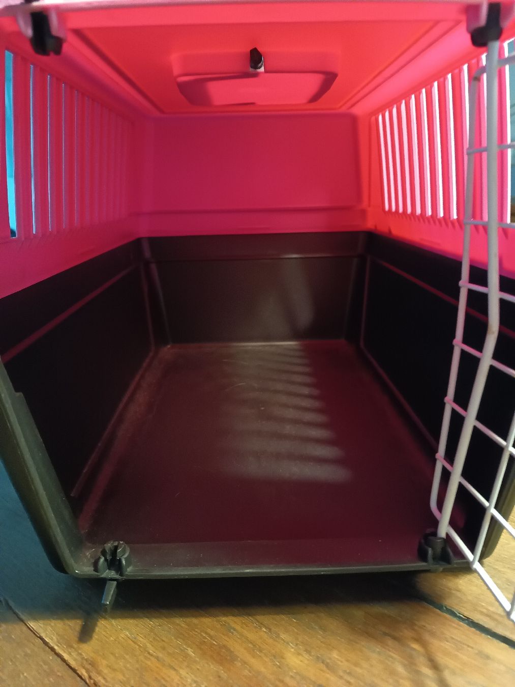 Gabbie, trasporto & Sicurezza: Katzen/Kleintier Transportbox  – Usato da Belp venduto da lamadefi12 1