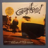 Gumbo ‎– Droppin' Soulful H2O On The Fiber LP UK 1993